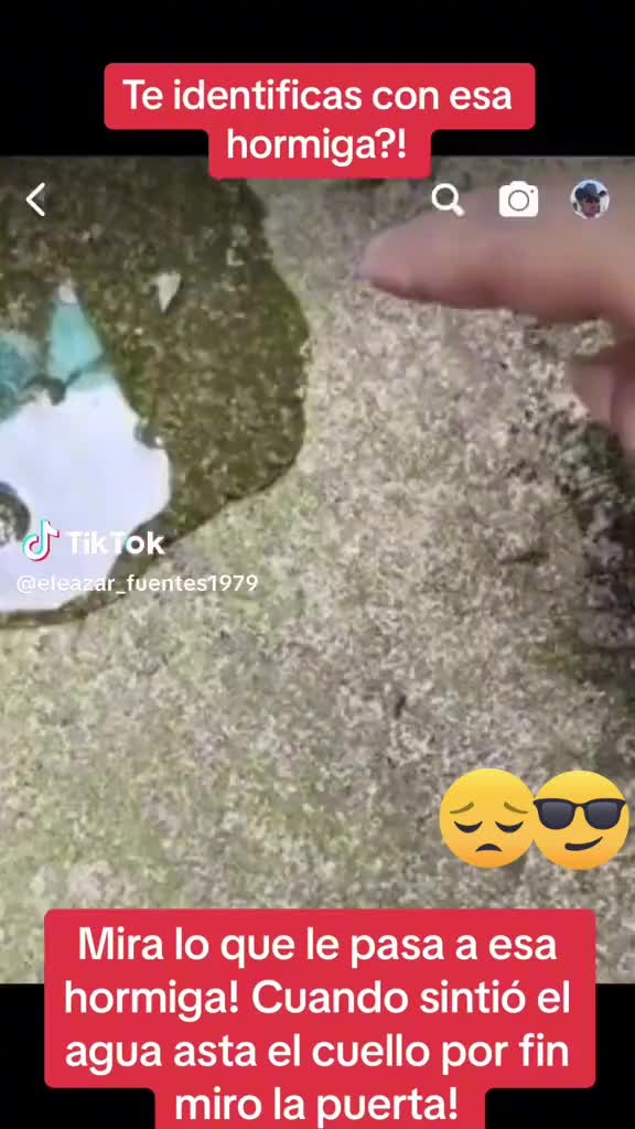 @Isabel73