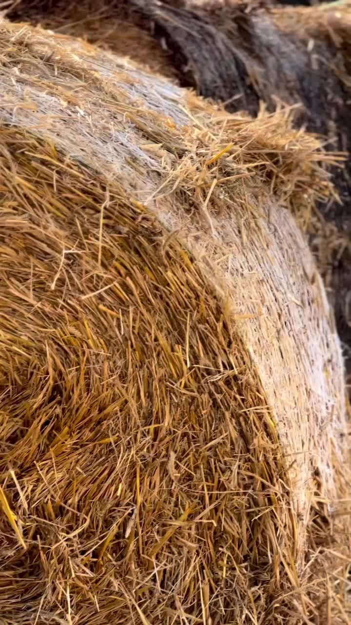 @_Dom_w_kadynach