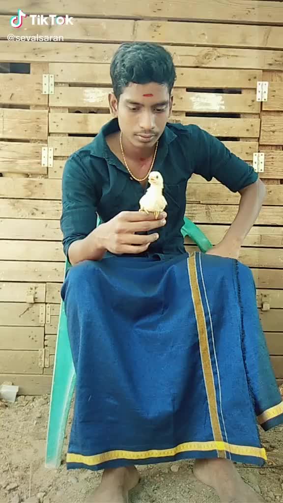 @user131743