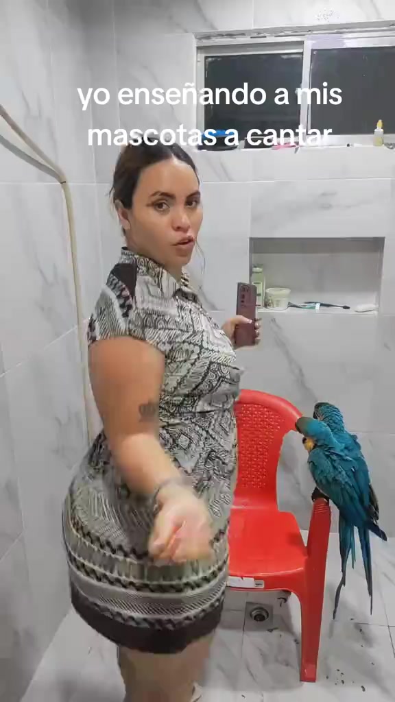 @domitila bello