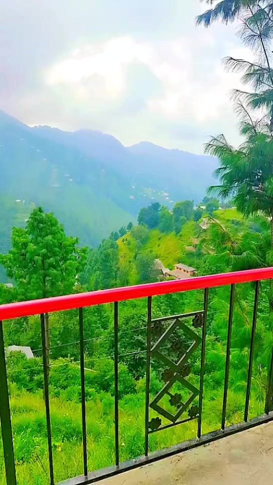 @MianArslan8585