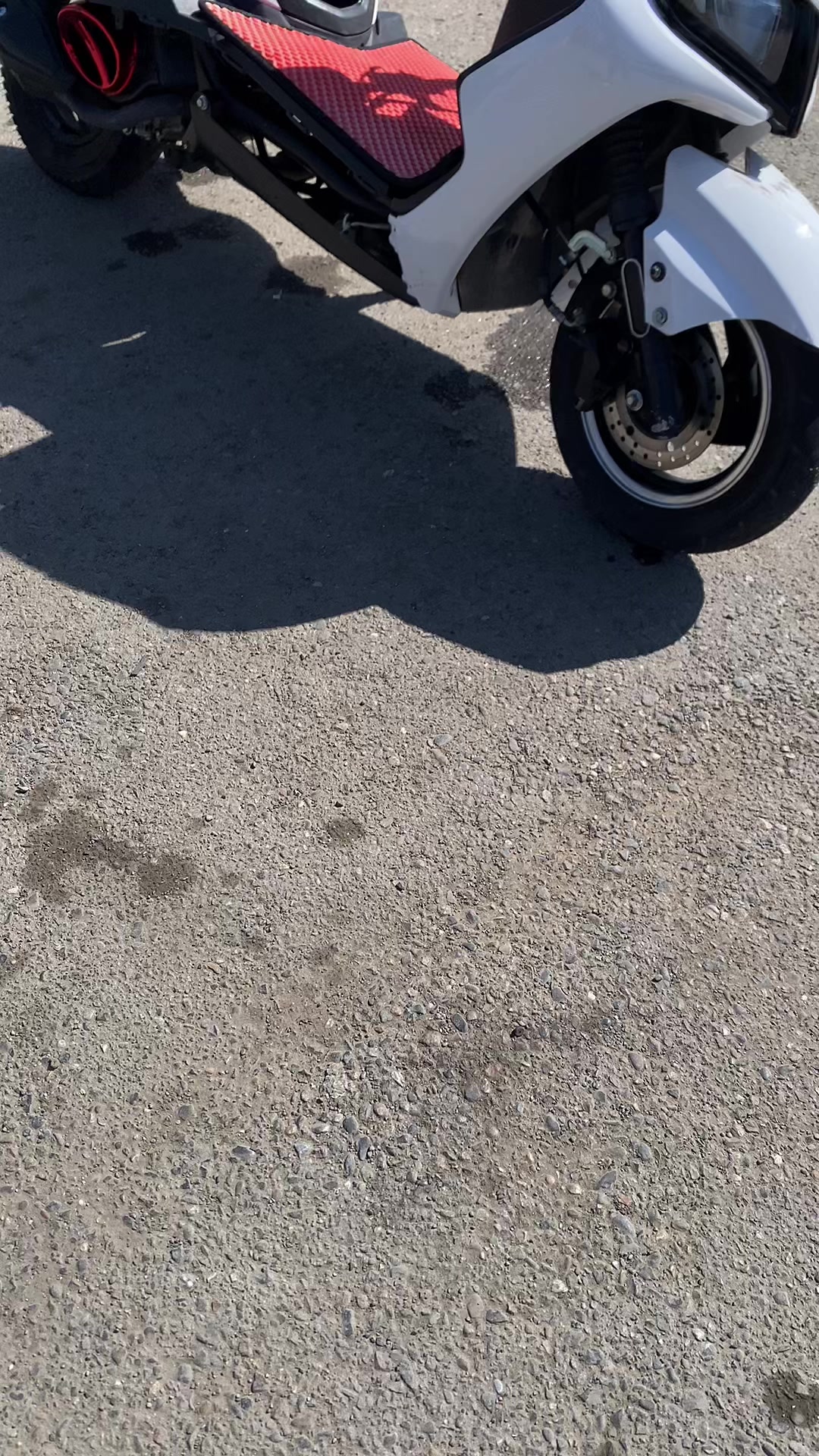 @daukawxx