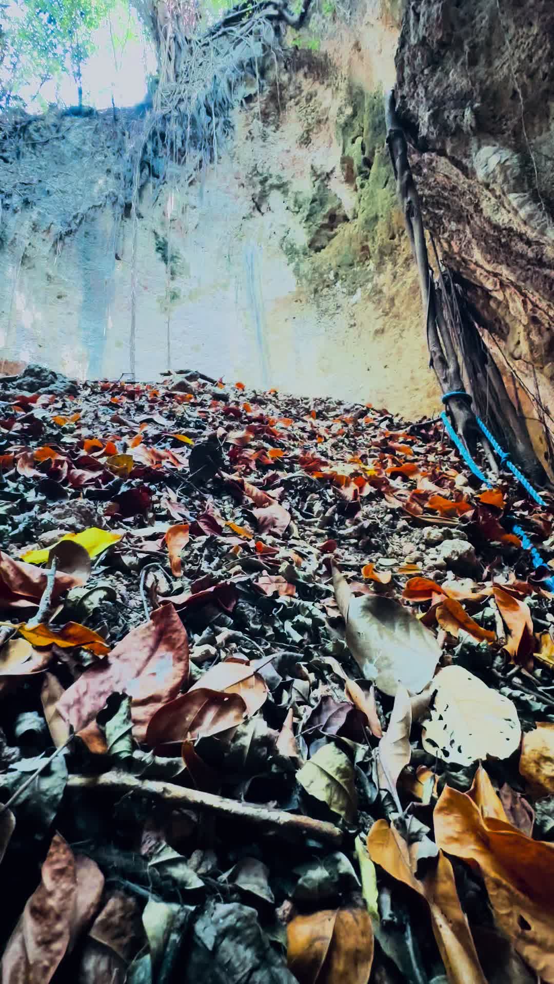 @Antonio Uy Rondario