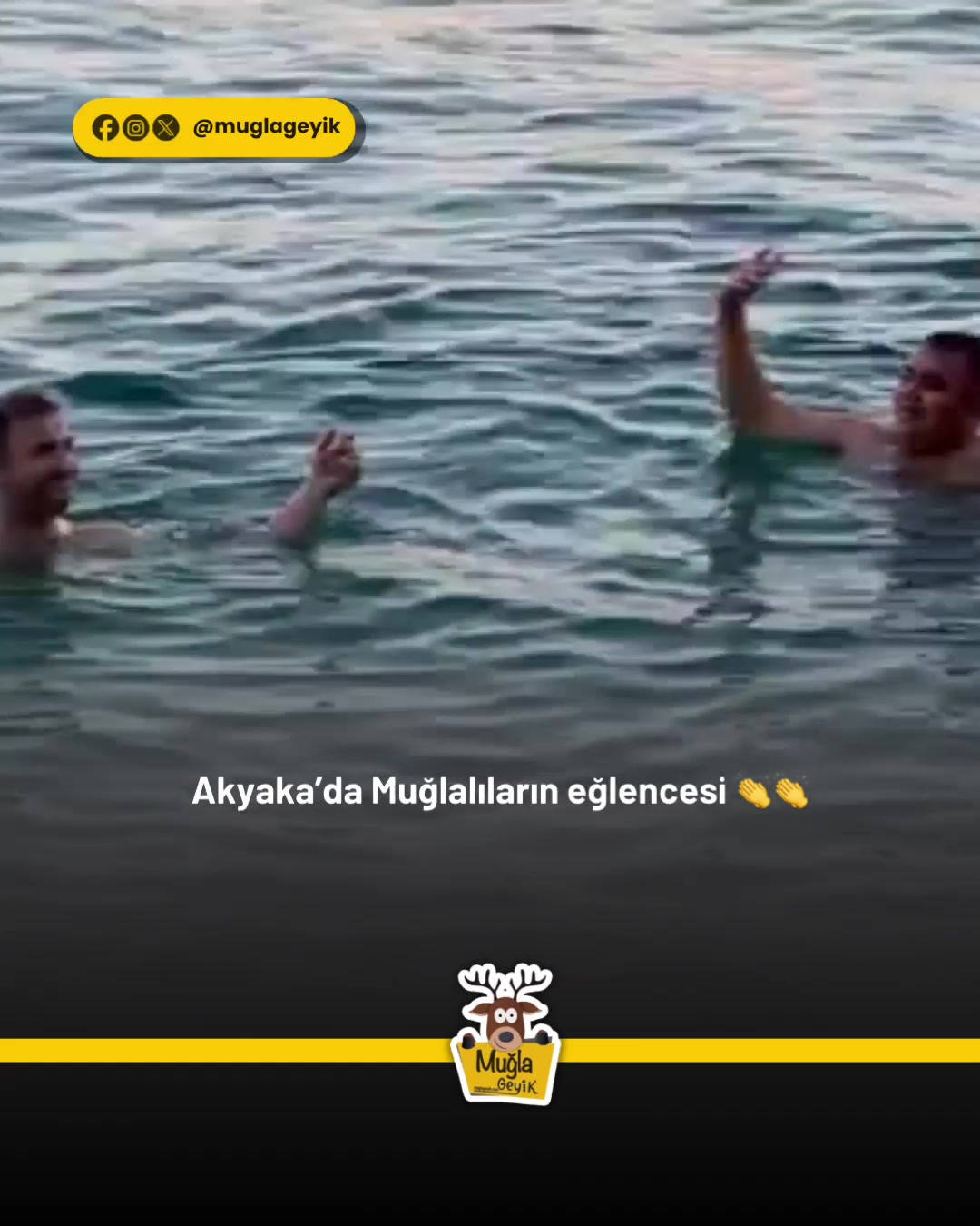 @Muğla Geyik