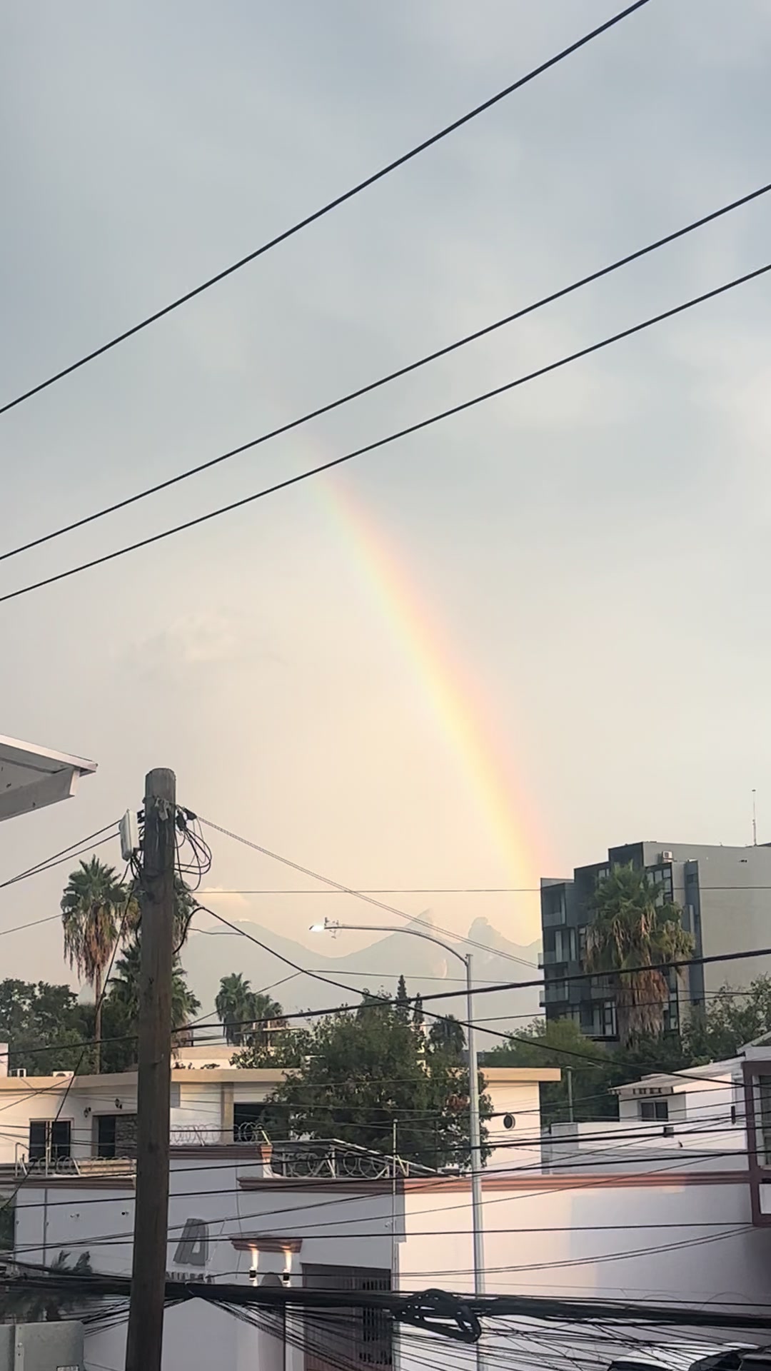@lachicadelcentro