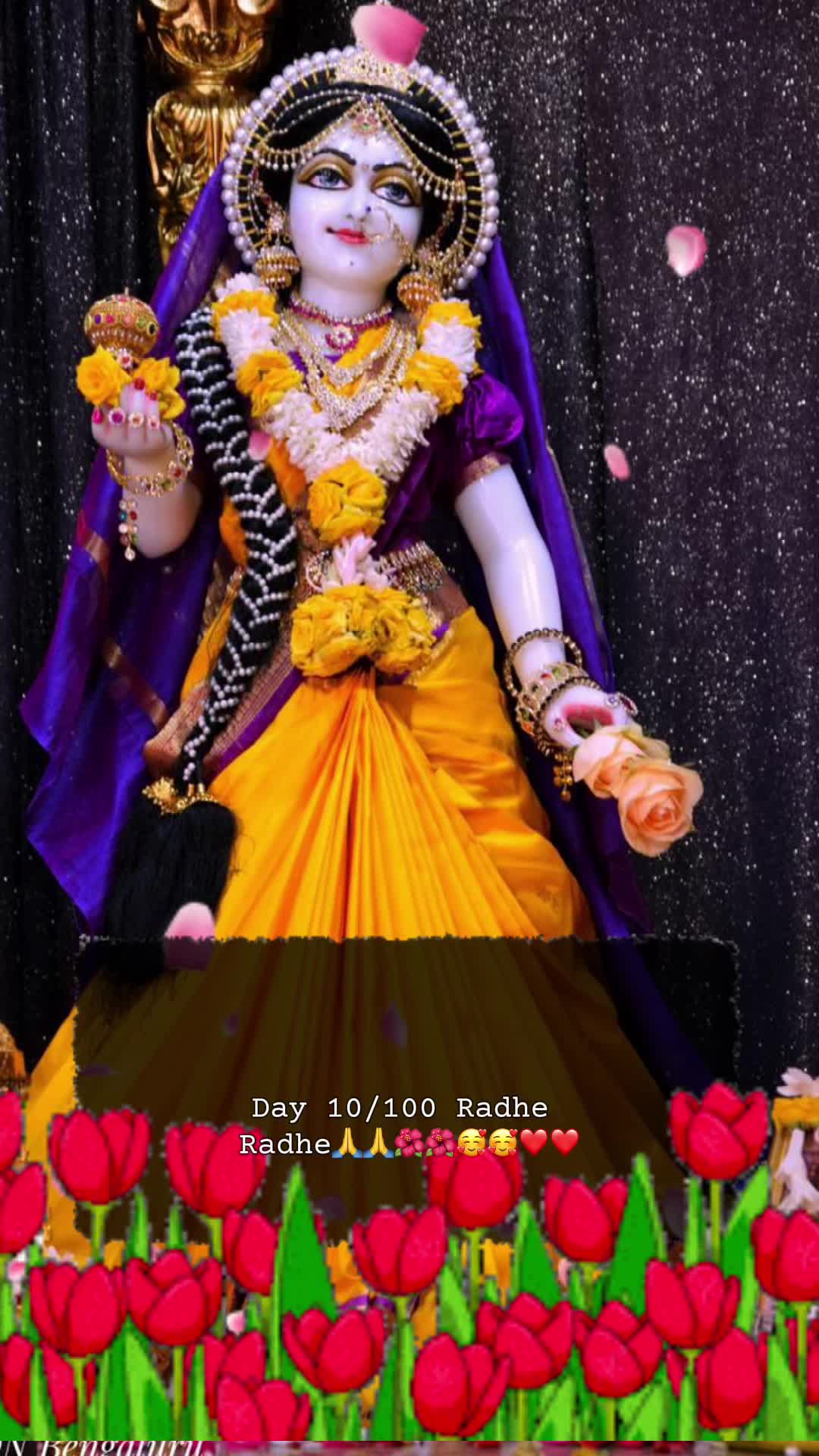 @RadheKrishna🦚🦚🙏🙏
