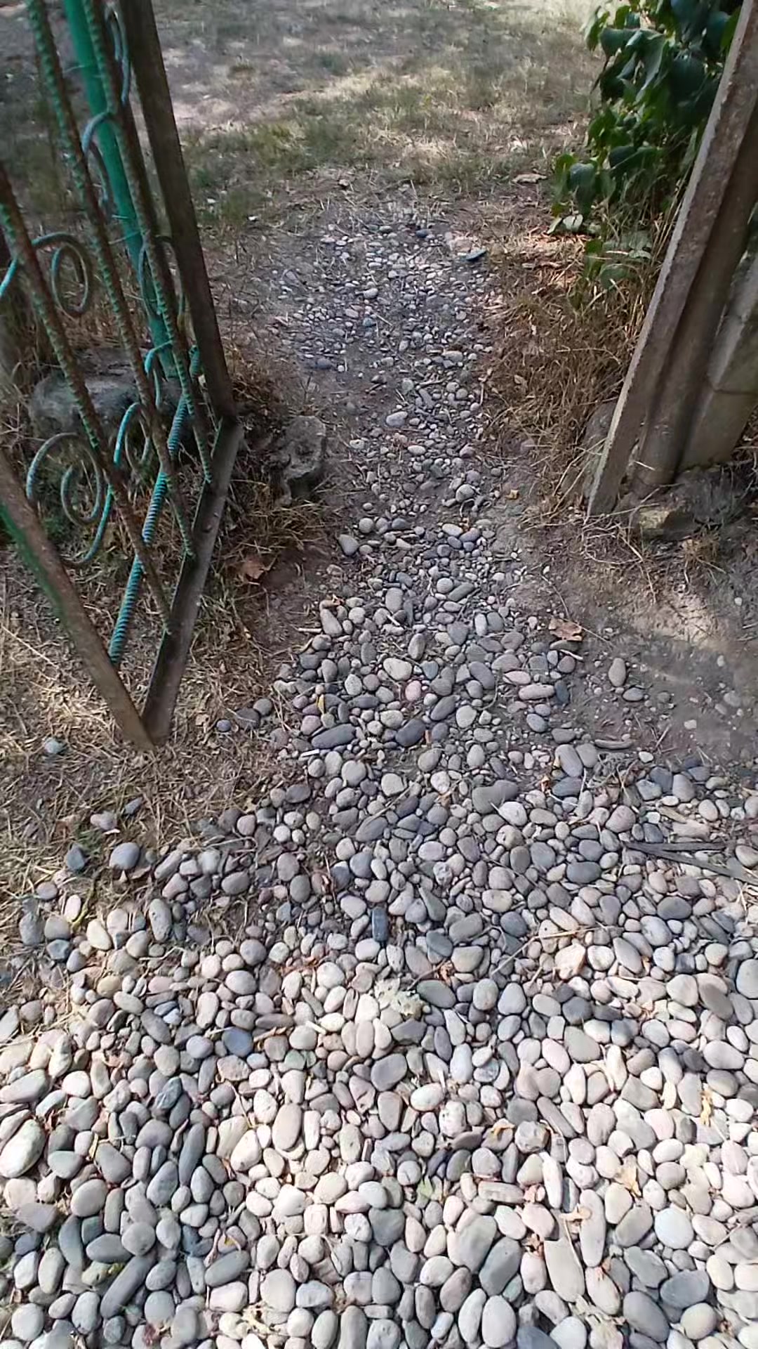 @ALEKSEYEVKA KƏND ✅