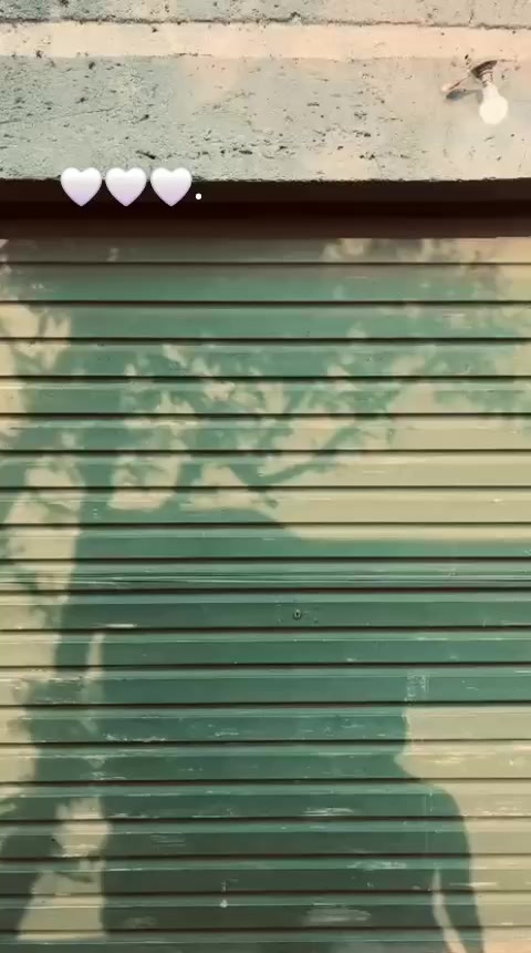 @somlungu14