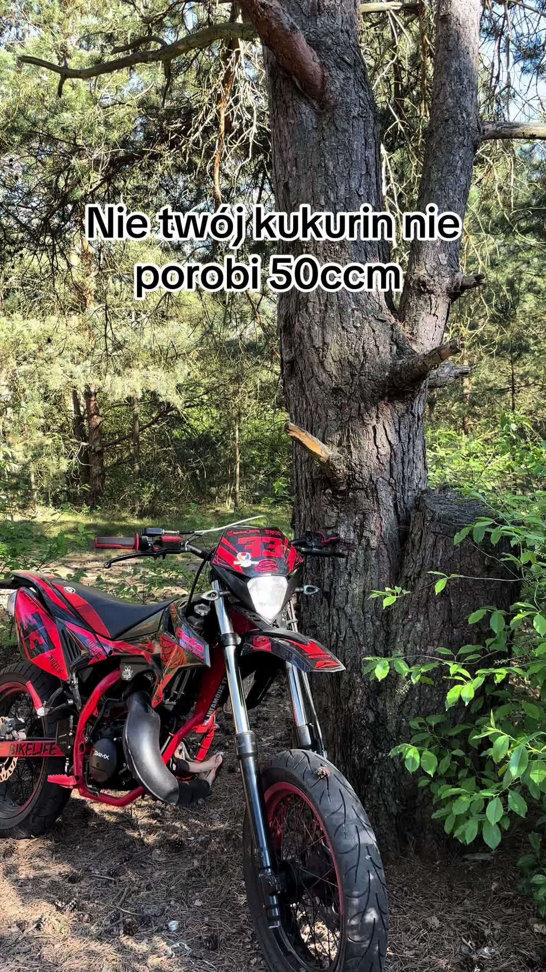 @pitus._