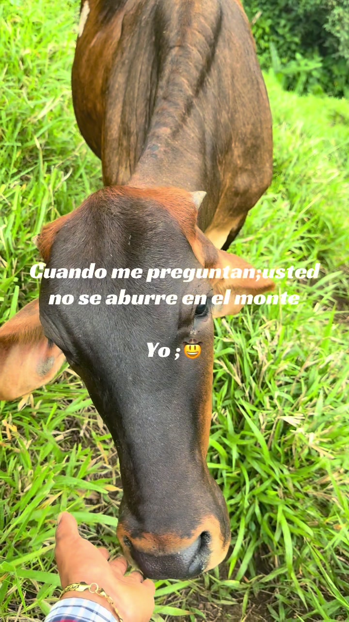 @Bandido De Amores 🥴