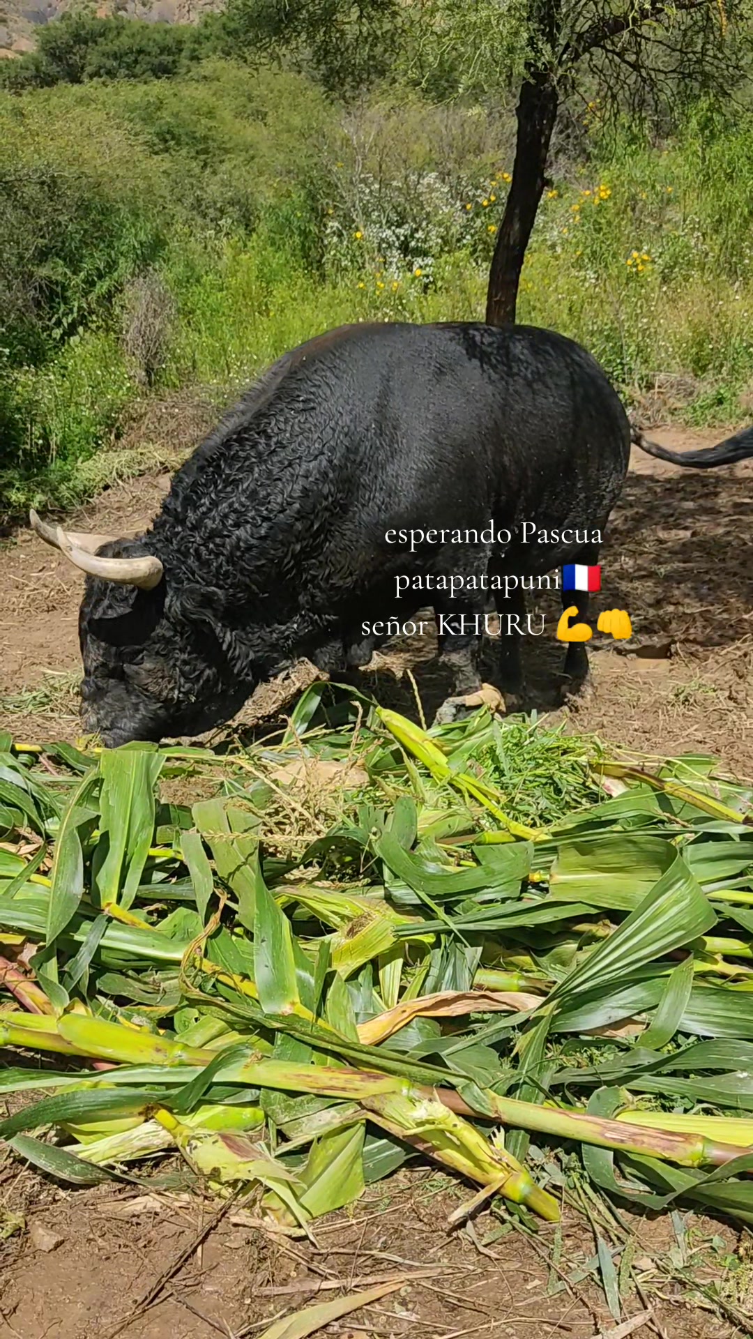 @WILIAM☘️🫥🇫🇷