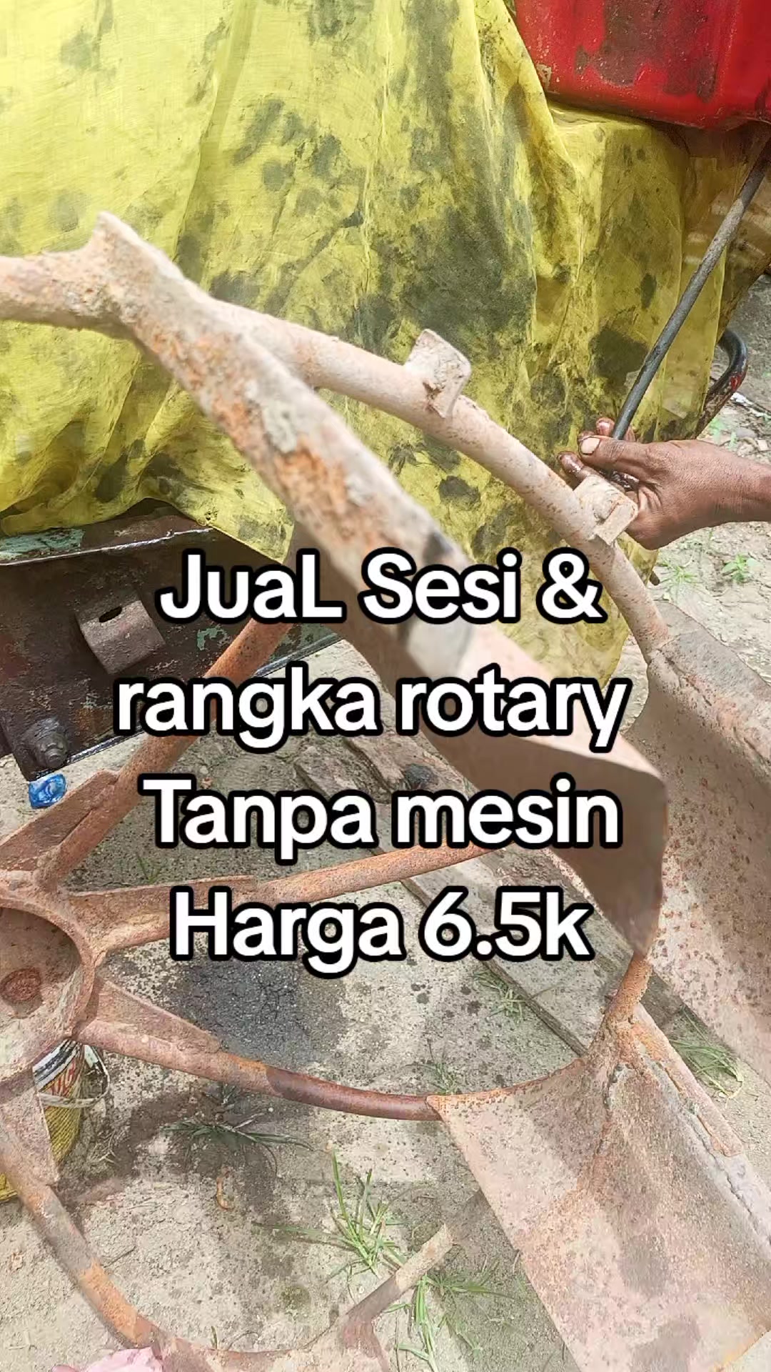 @WANDA DIESEL