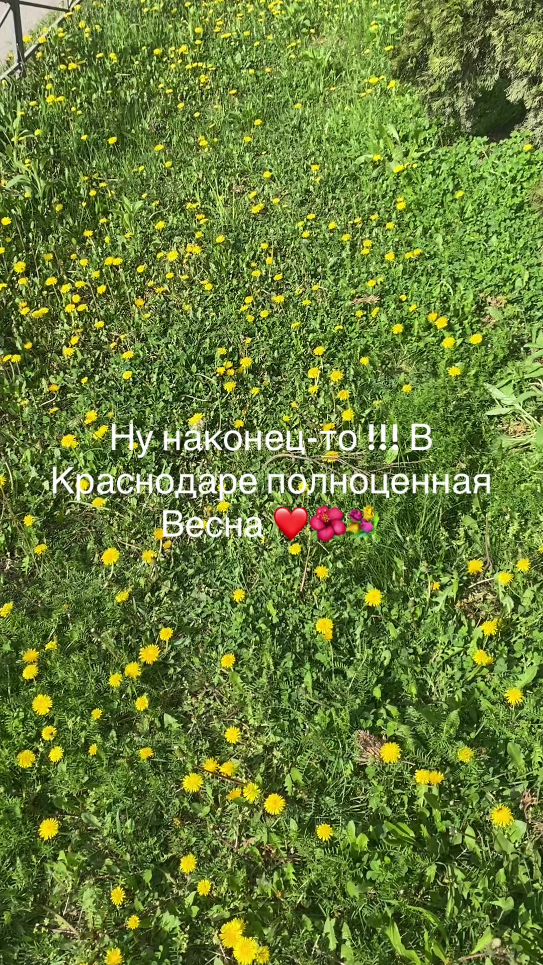 @Ольга