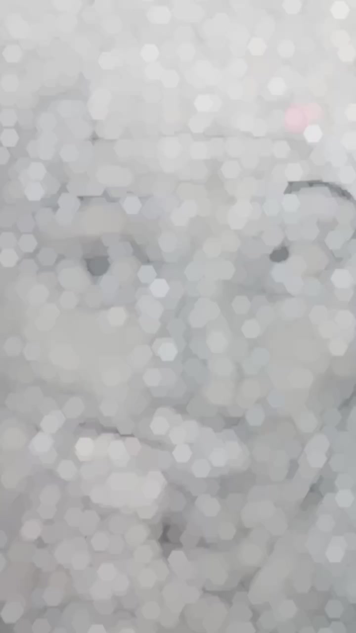 @designnerart