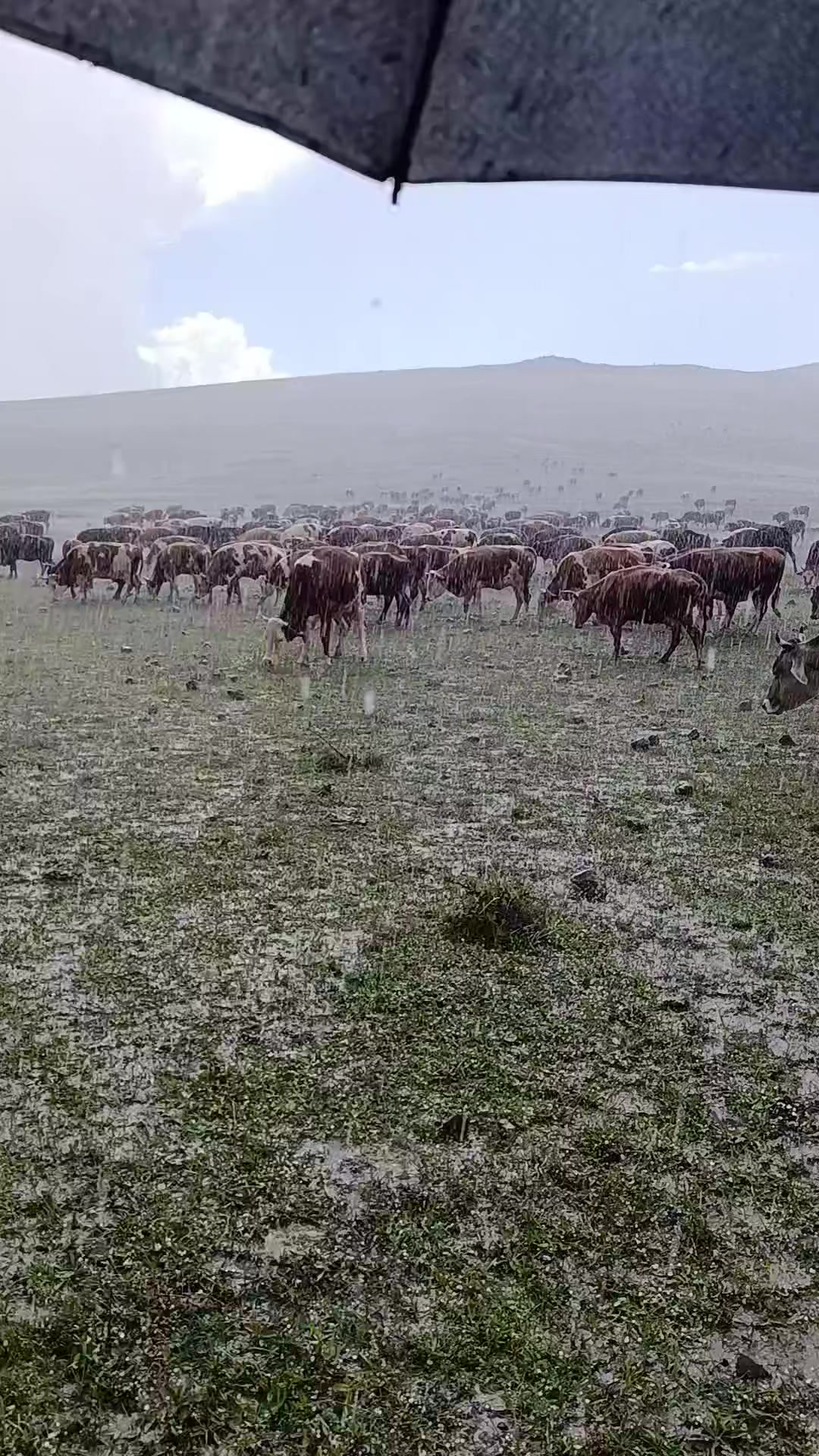 @FERHAT ÇUKU 76☀️