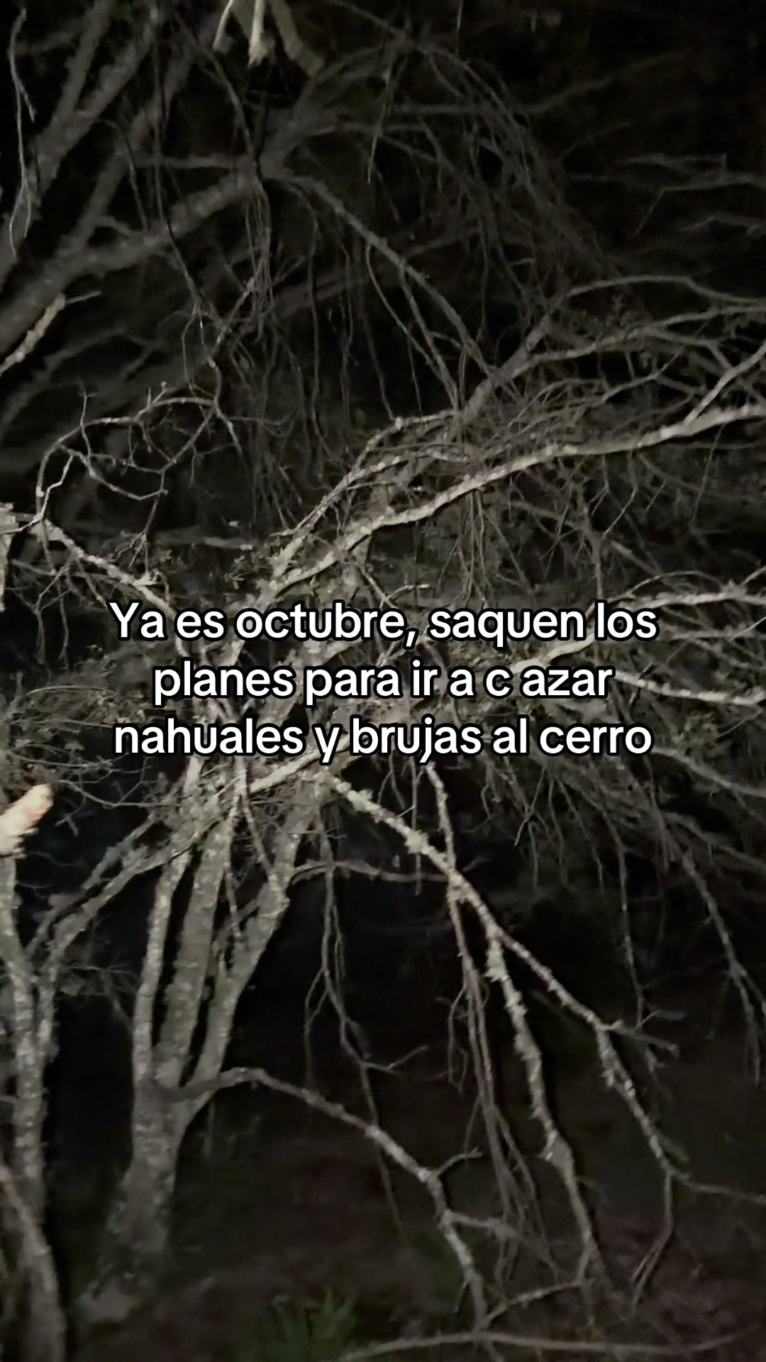 @SerPerLop