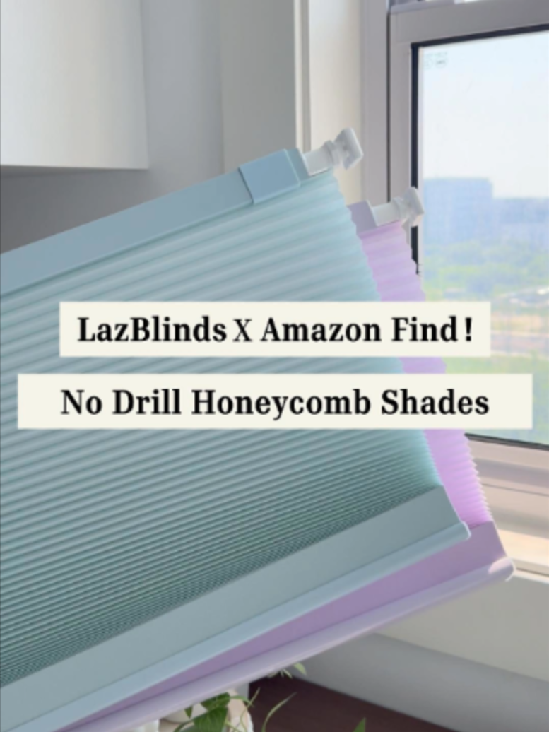 @LazBlinds