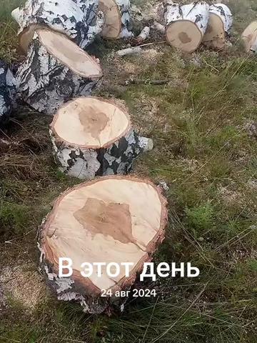 @💪ДОБРЫЙ 💪