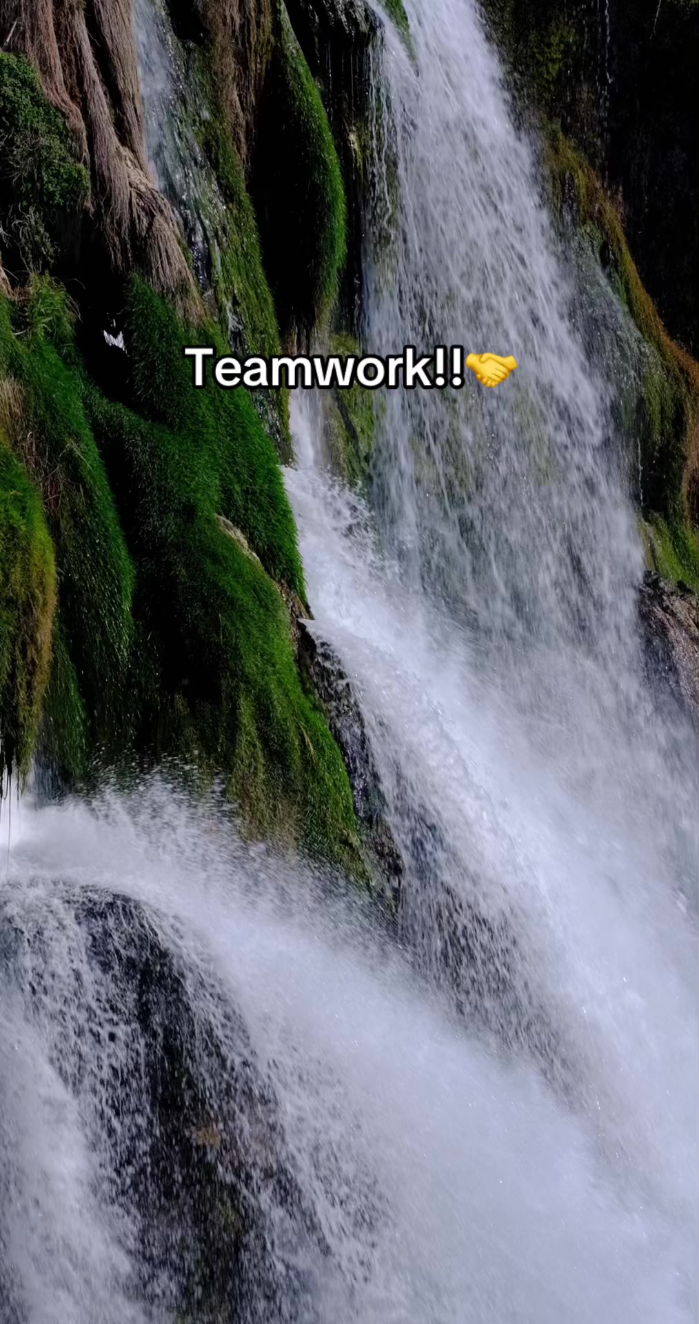 @Teamworker