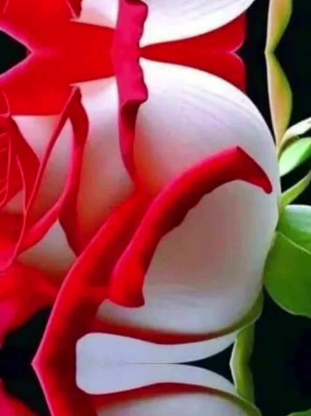 @dhakalbhujel789