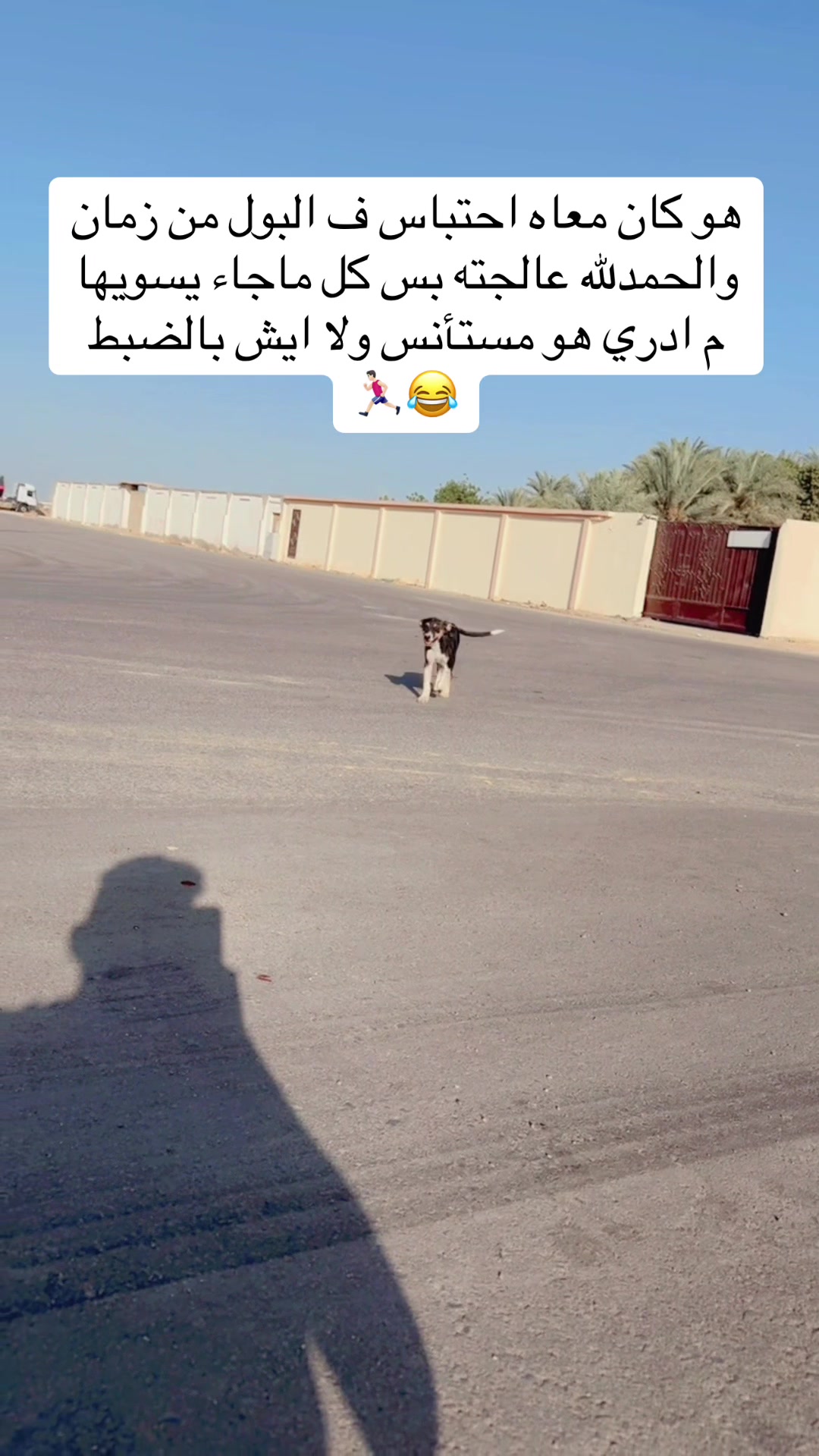@مـاجـد✨