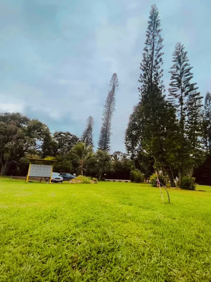 @Ouyouyouiiii 🤓🤣