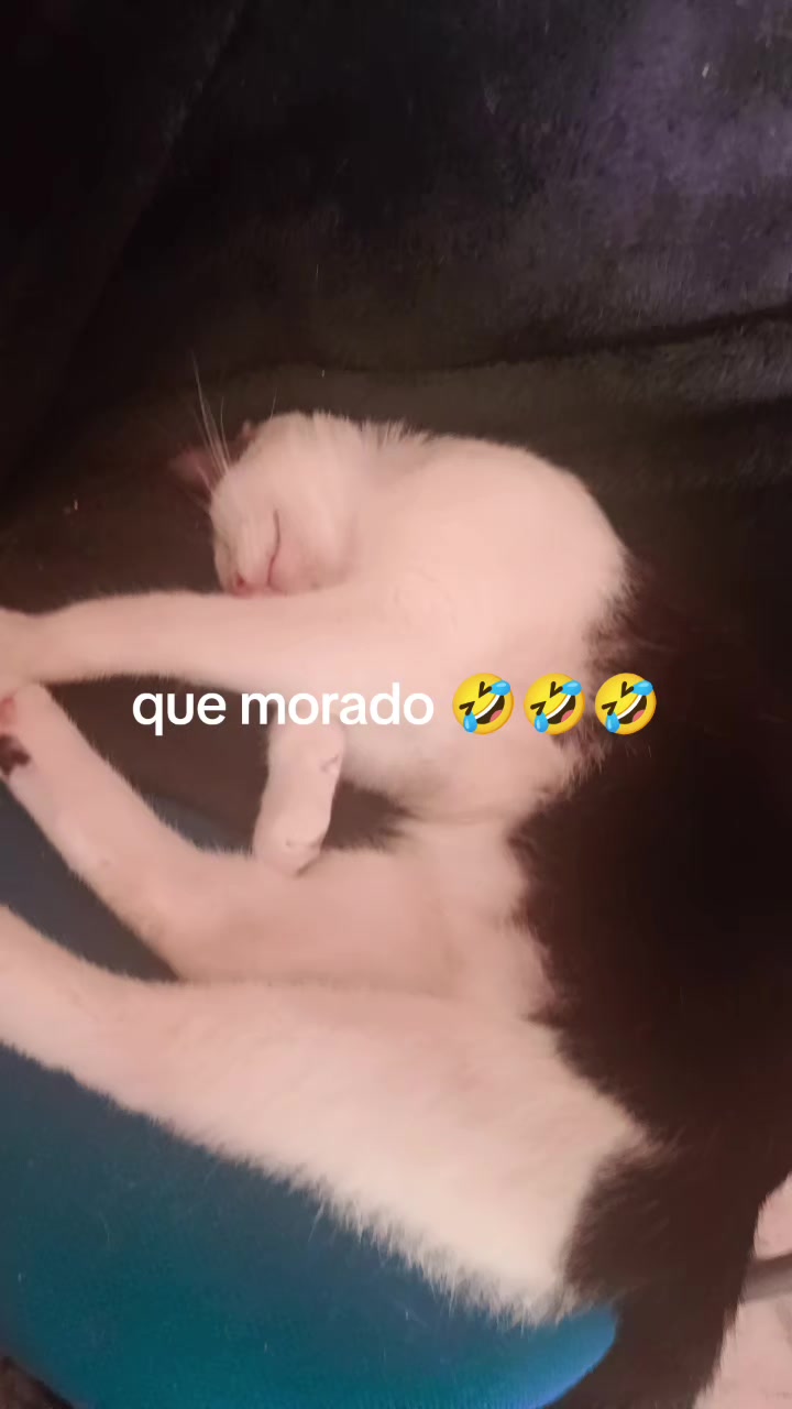 @migeposter