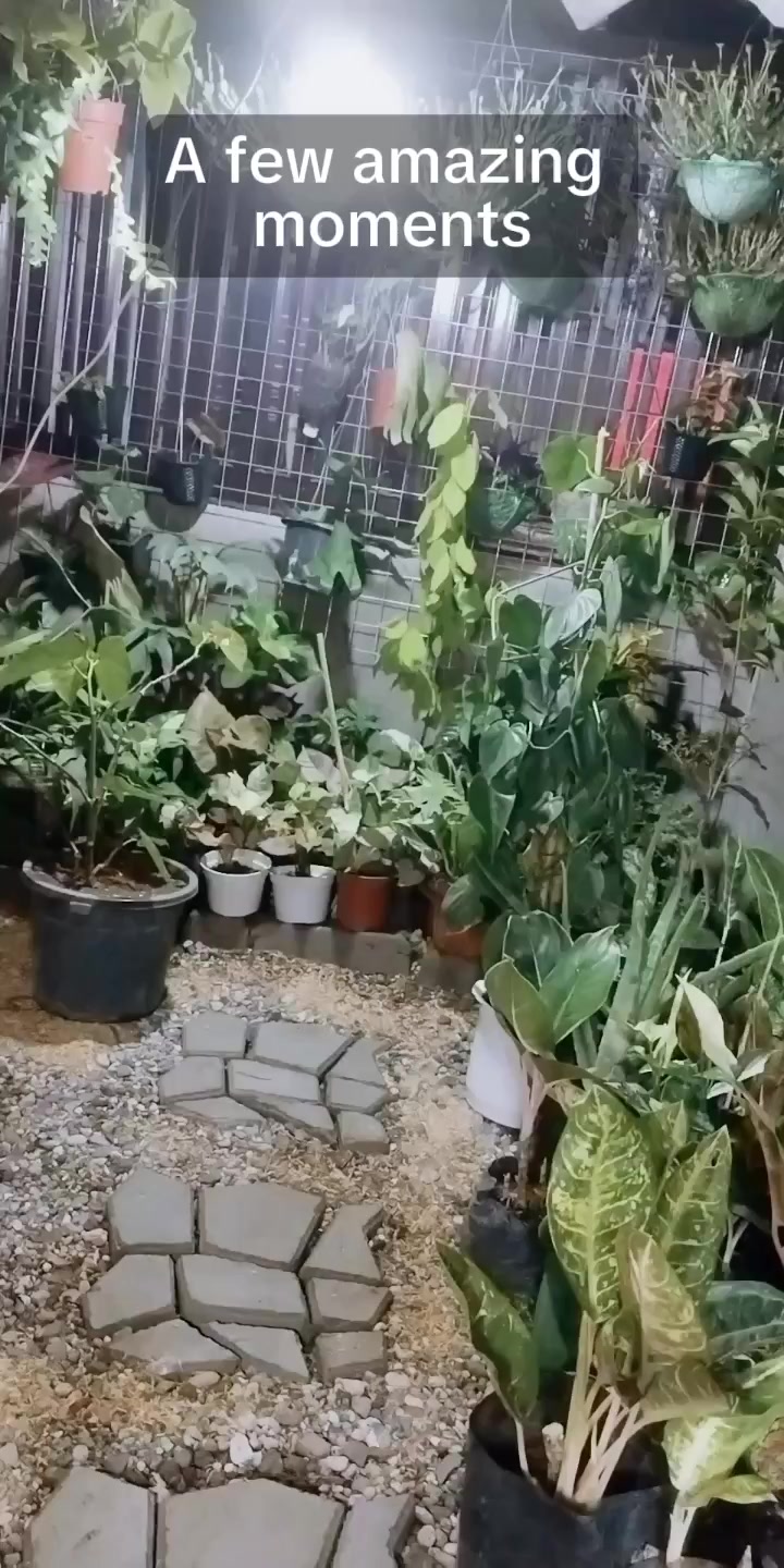 @mhie_nie gorgeous plantita