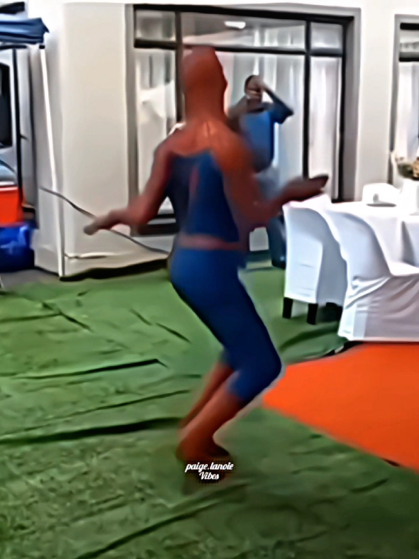 @paigelanoievibes