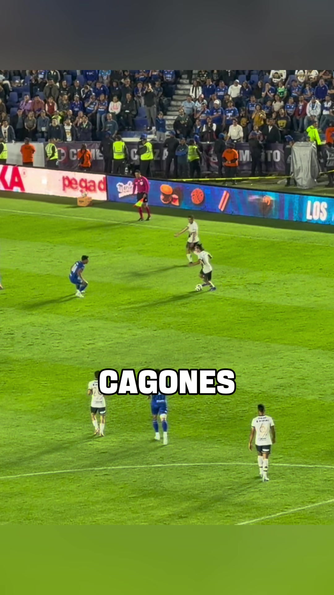 @Pedro Alem&aacute;n