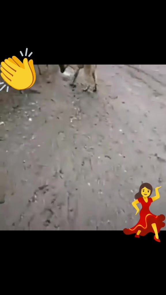 @Kömür Gözlüm