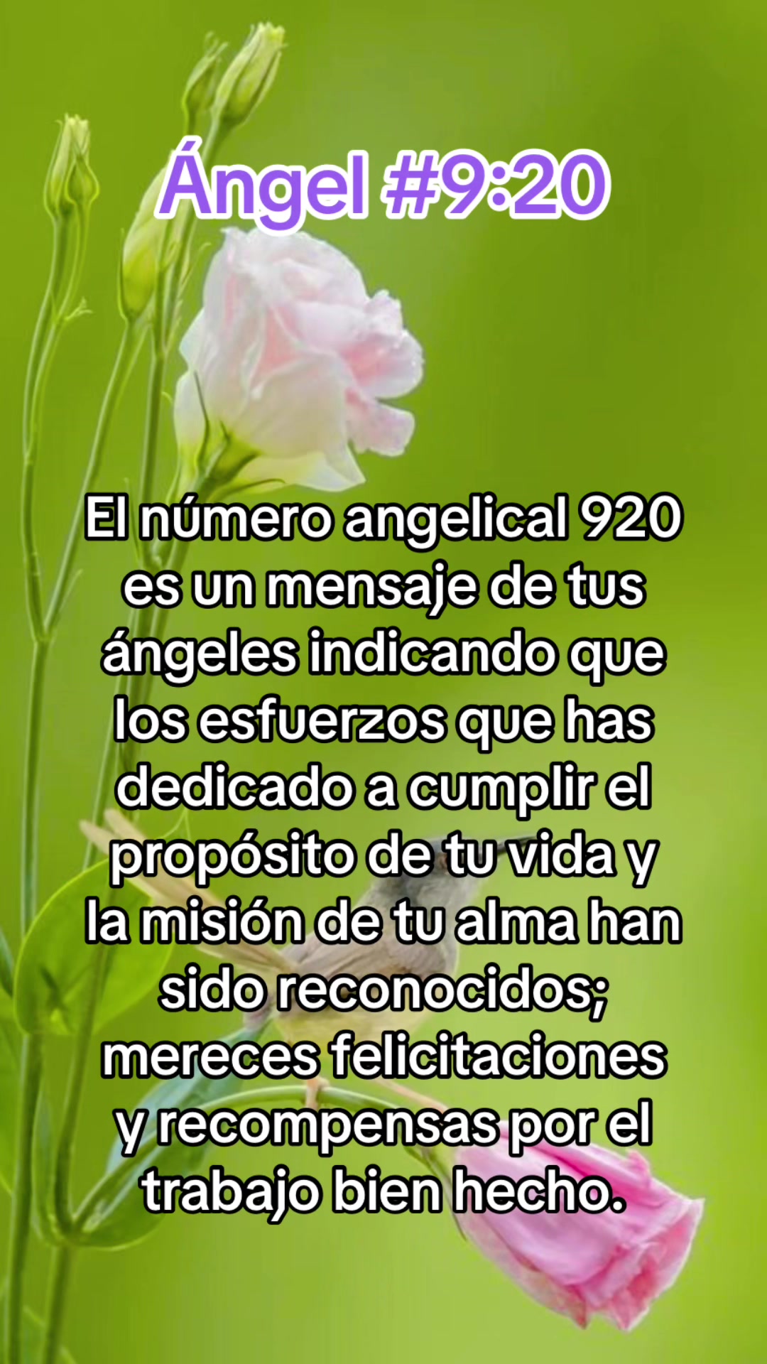 @ᑭOᖇTᗩᒪ Oᖴ EᔕᔕEᑎTIᗩᒪ ᒪIGᕼT