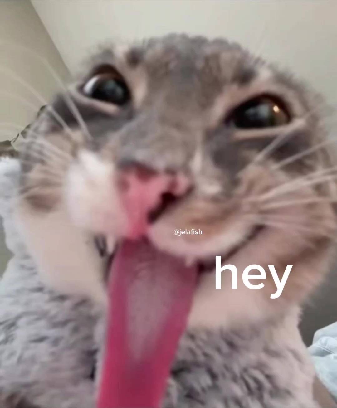 @v0id_&sect;h&aelig;d0w