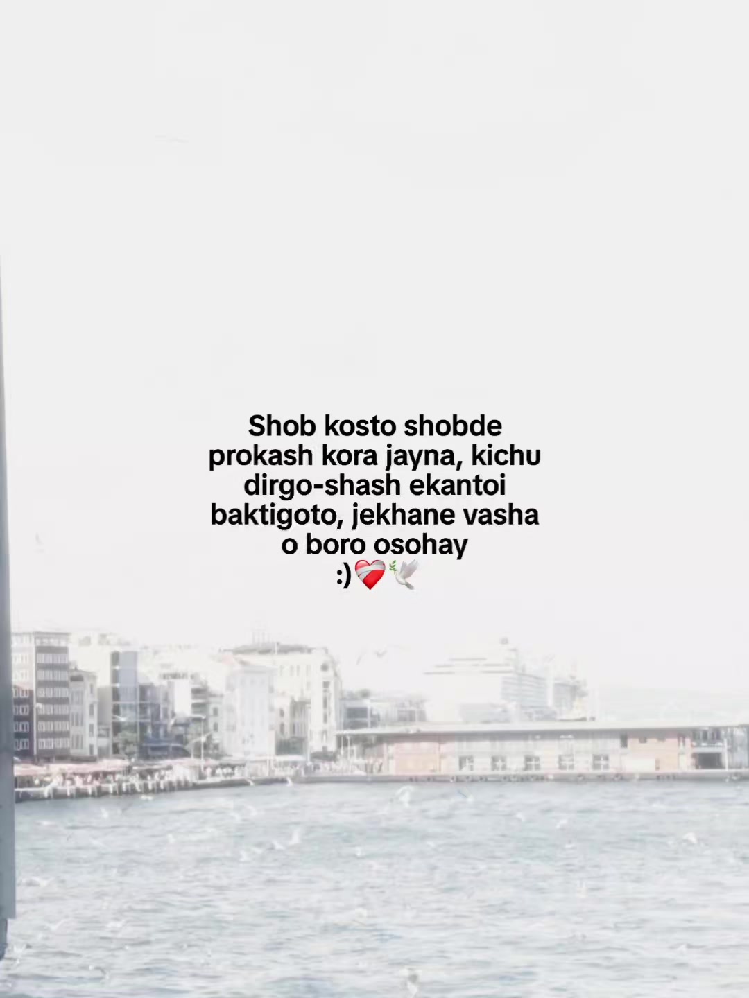 @Someone :)🤍🕊️✨