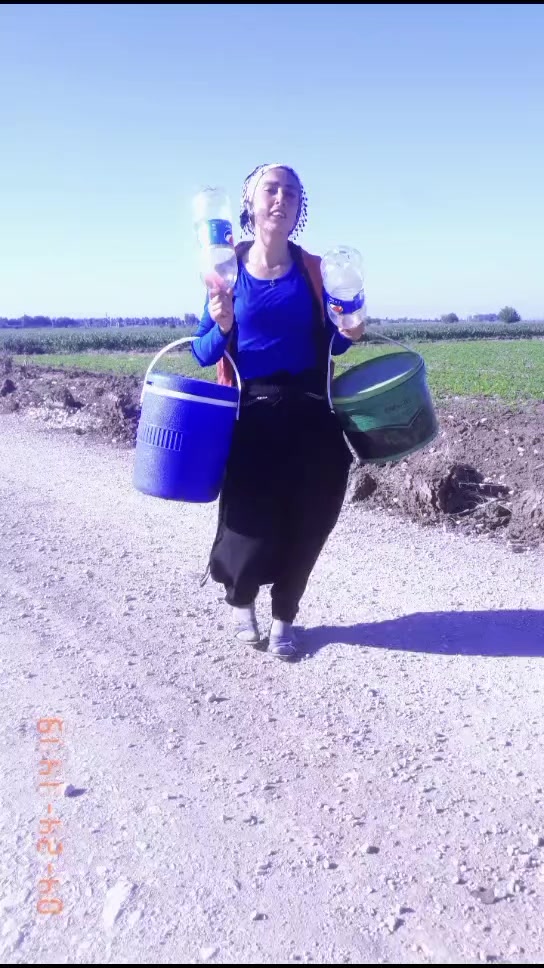 @Songül Pamuk