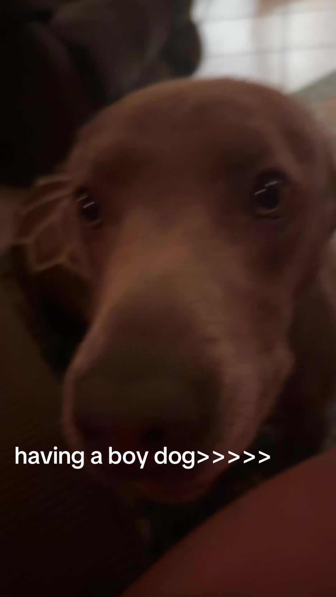 @notcakeboss