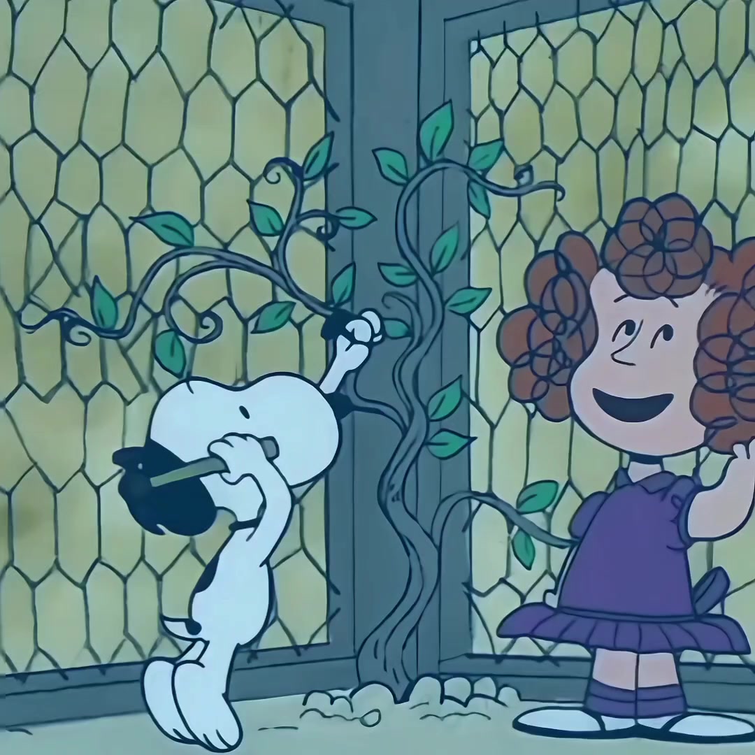 @thvsnoopy_𝜗ৎ