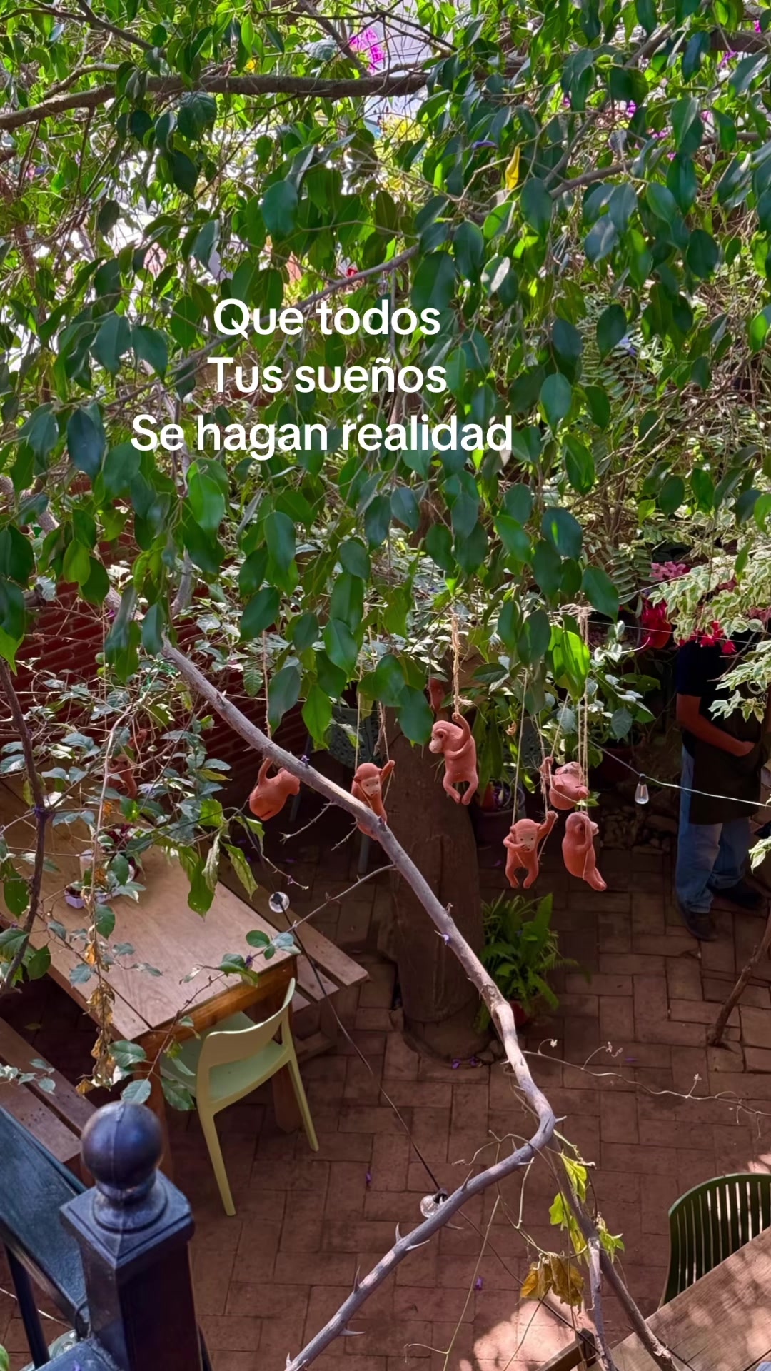 @Sabor 107
