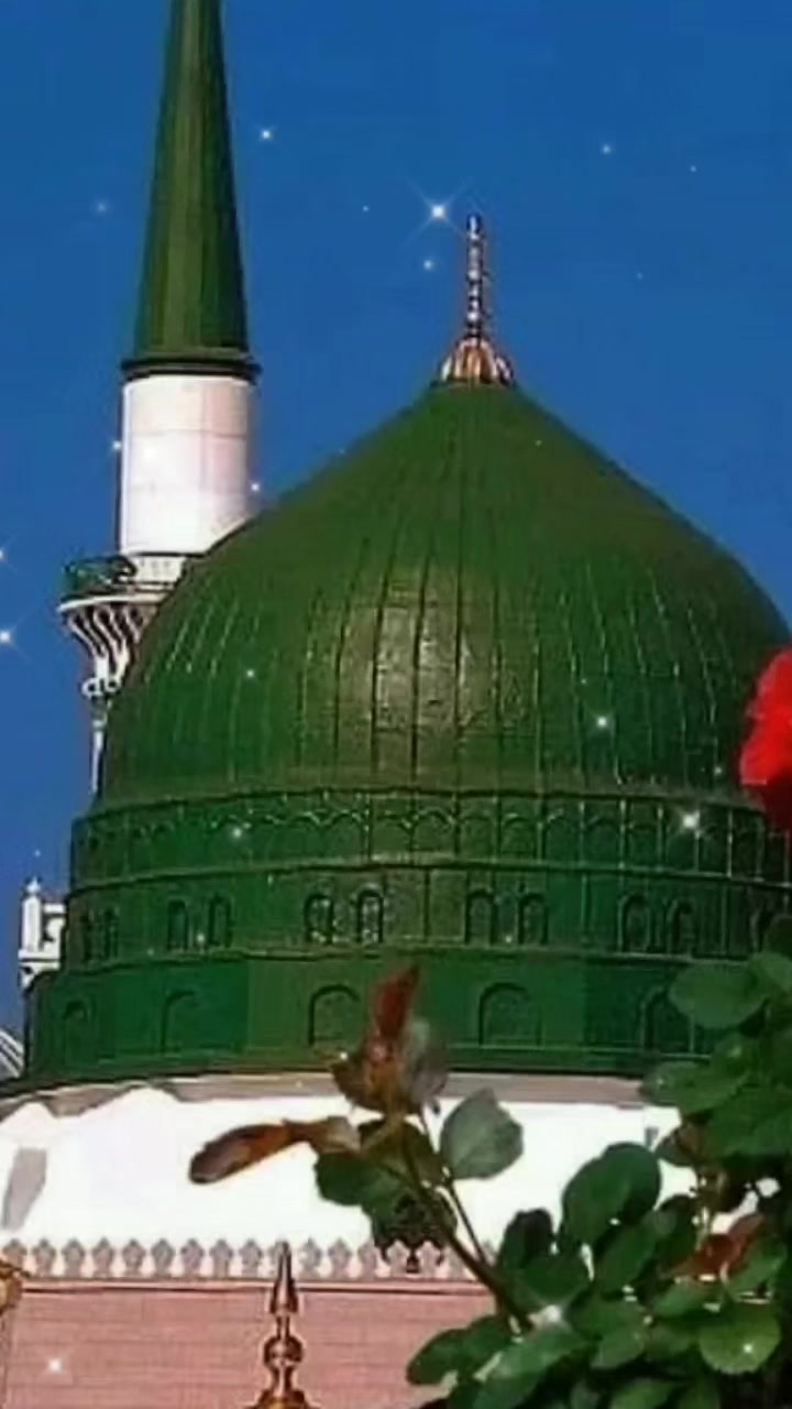 @🧸🌹أمينة🌹🍯