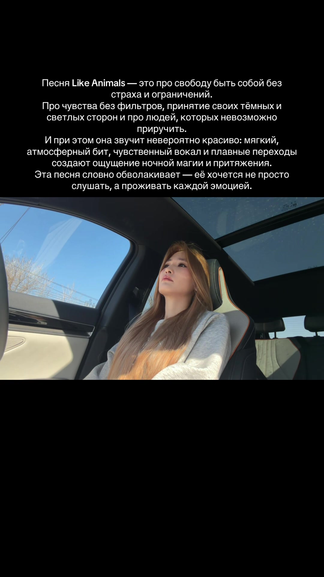 @di.yaay