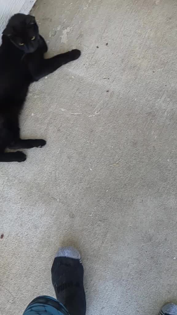 @Lomac79ad