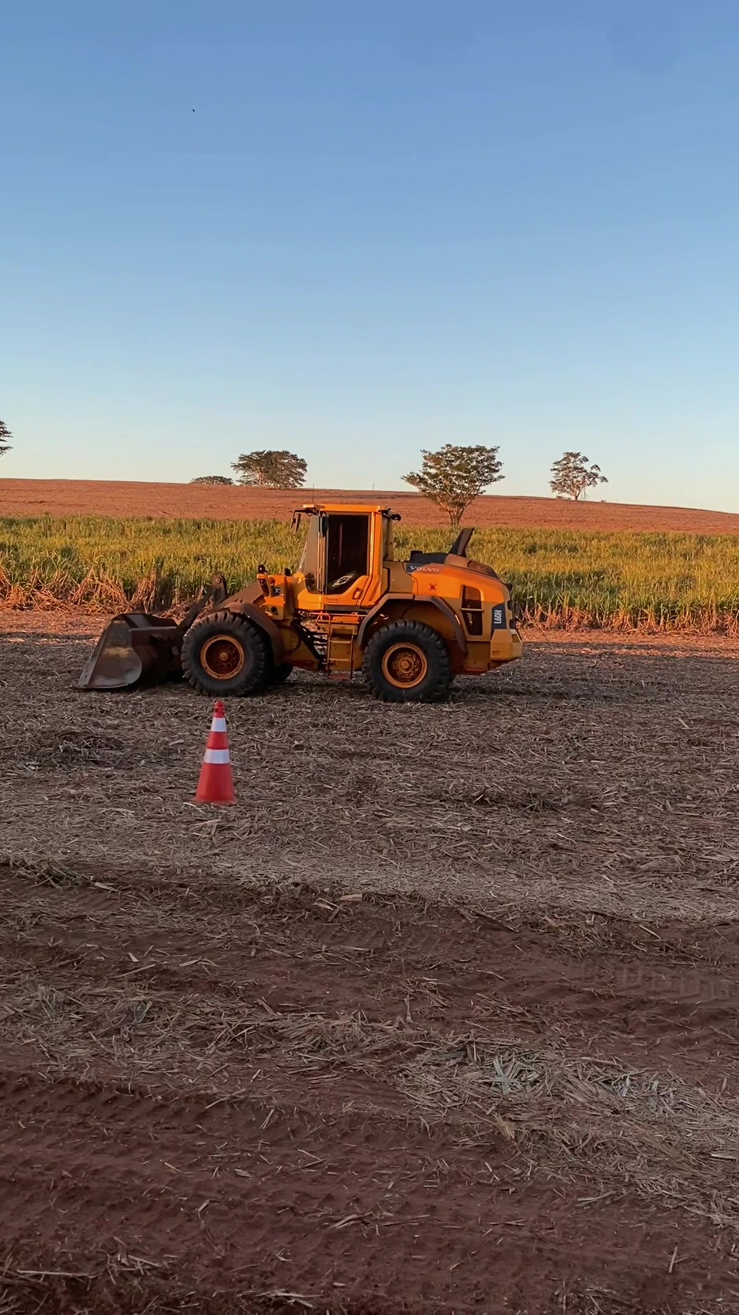 @ÍNDIO DO AGRO 🚜🌱