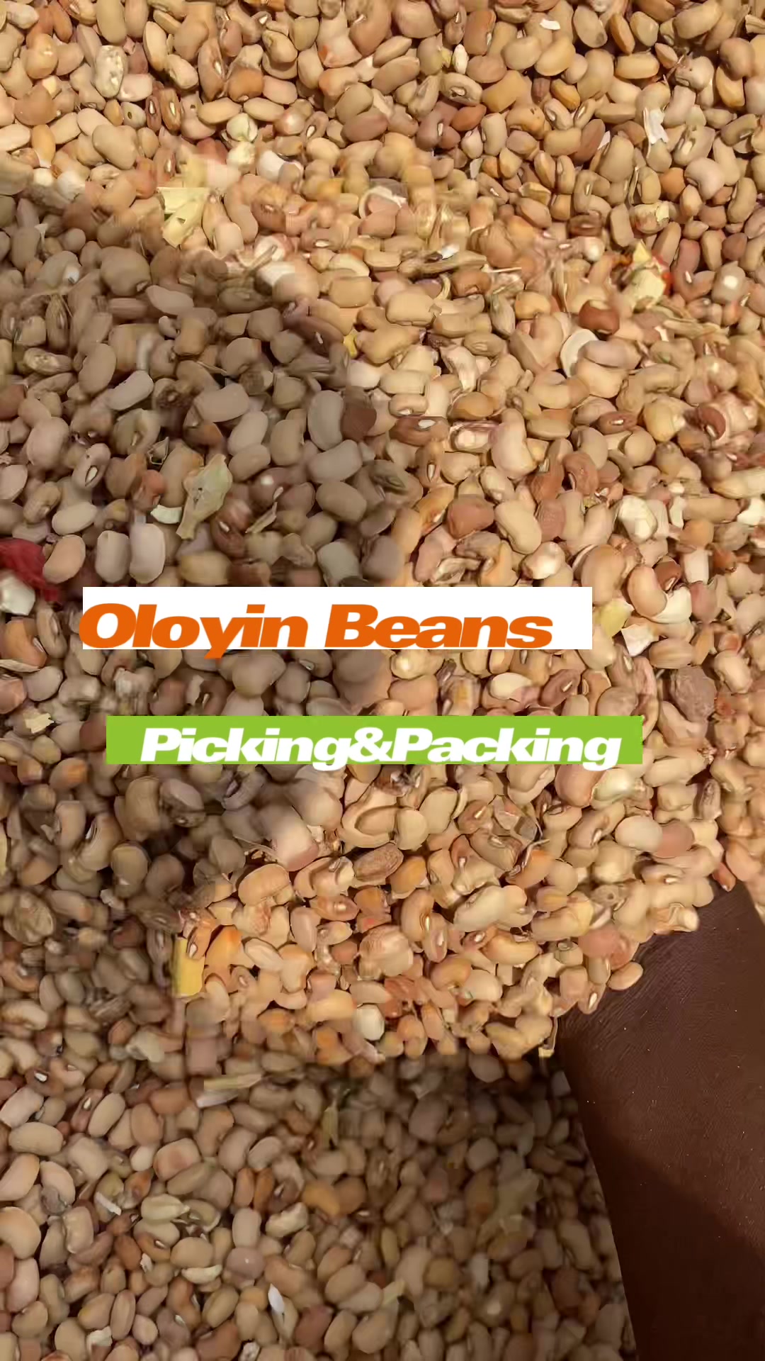 @foodzillion