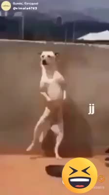 @user64938365447