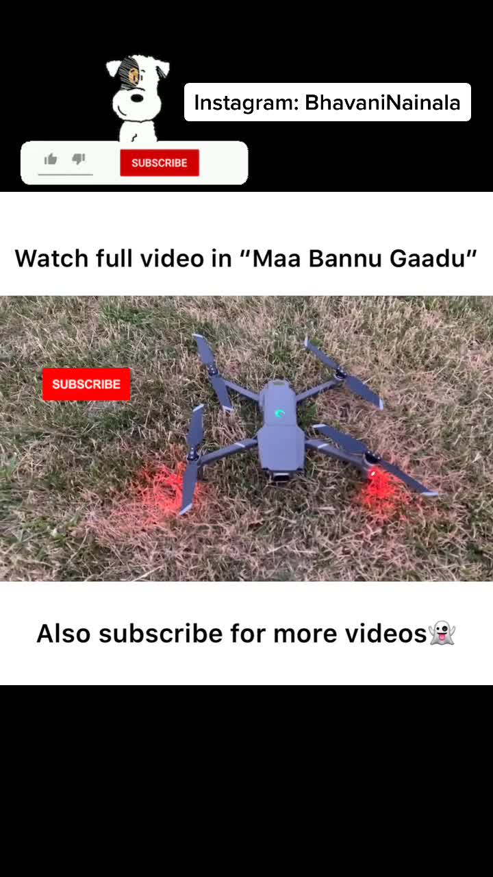 @Bhavani Nainala 🐶