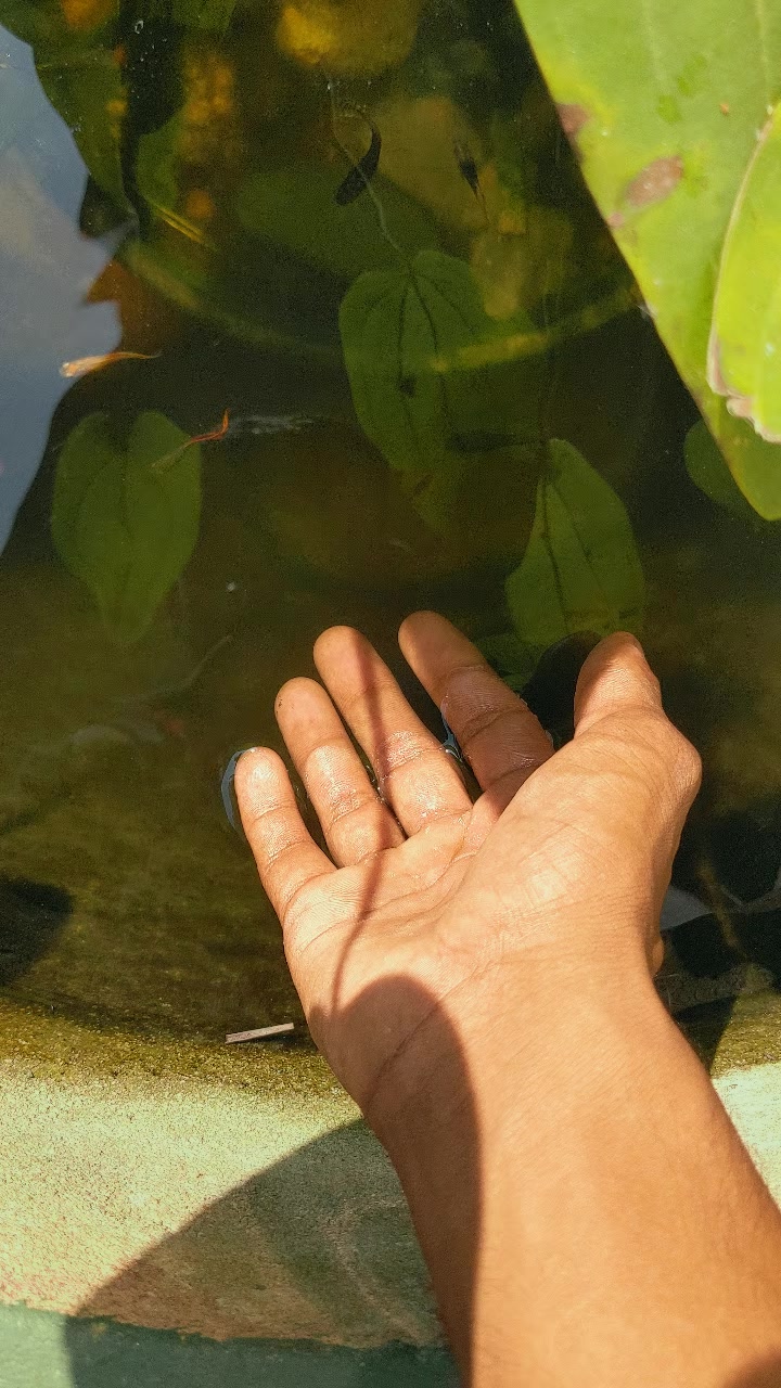 @Mr.රුවනා