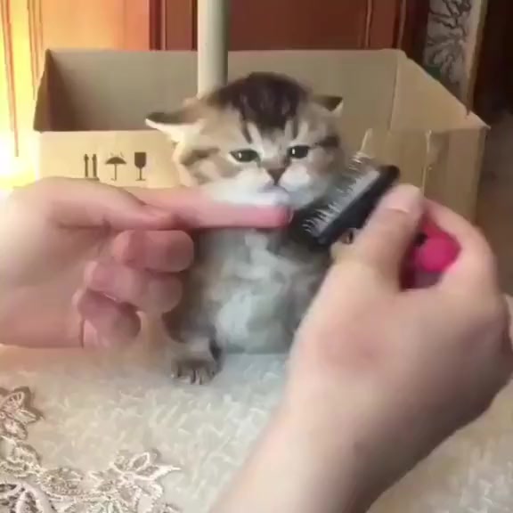 @倫倫💋