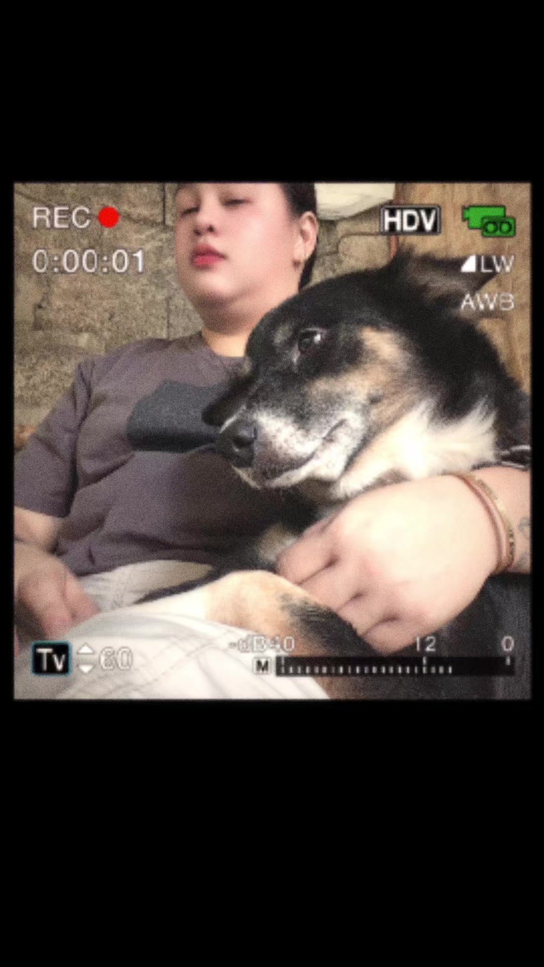 @autum🐕