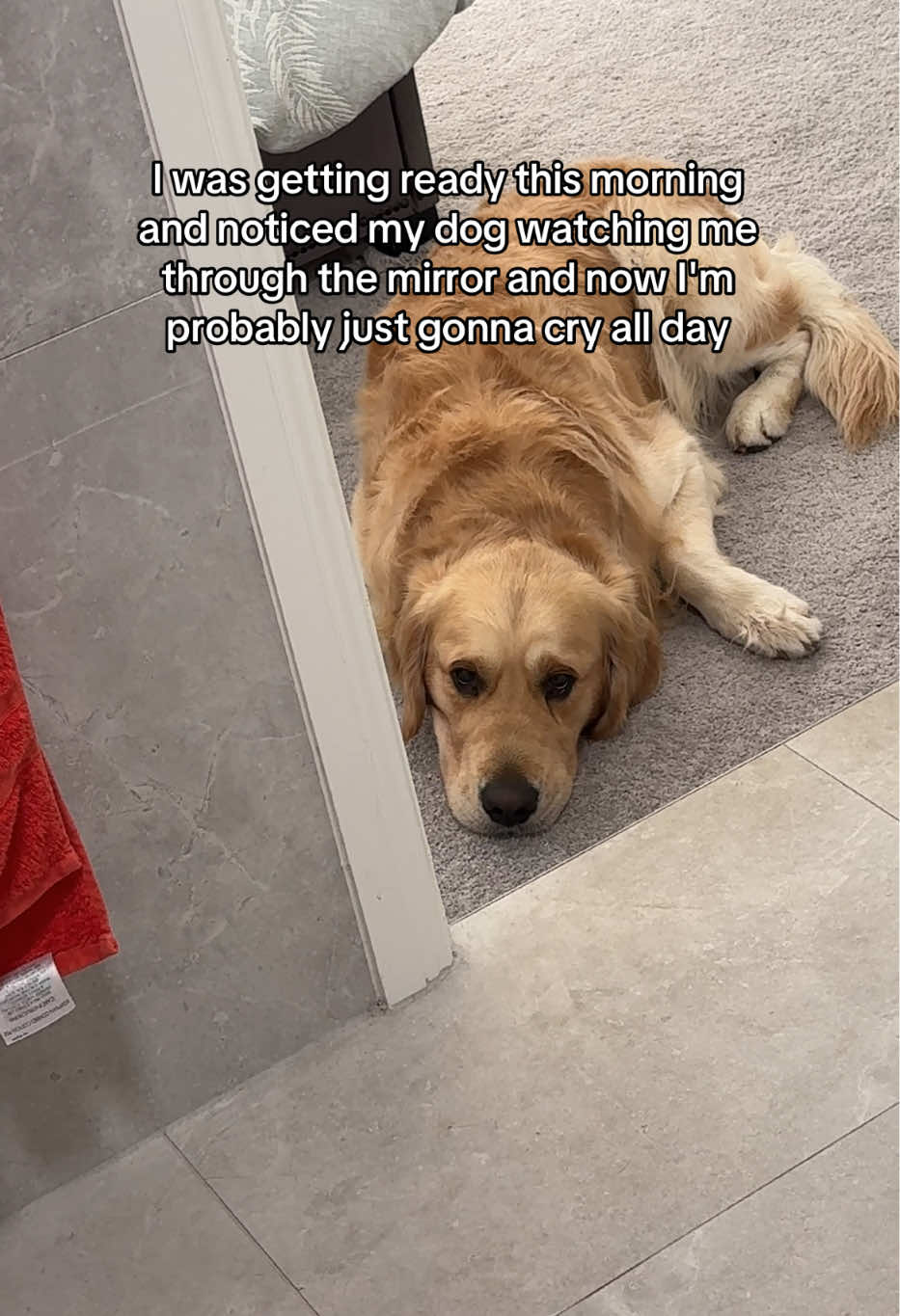 @lunas_golden_life