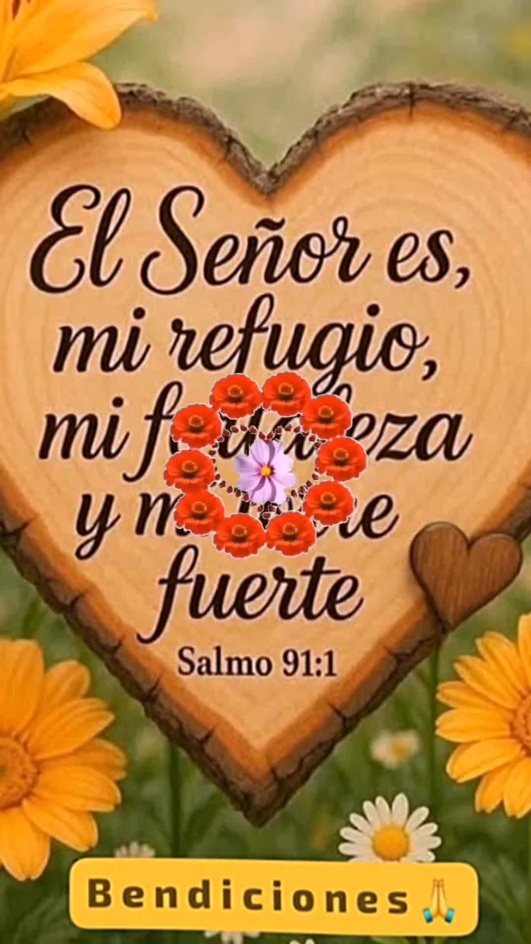 @Cinthia
